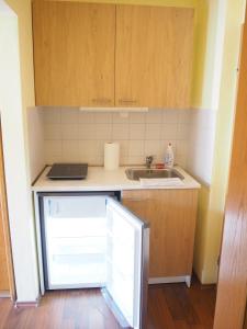 a small kitchen with a sink and a refrigerator at Apartment am Christopherhof in Grafenwiesen