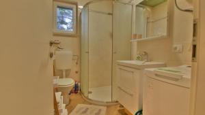 a bathroom with a shower and a toilet and a sink at Villa Skala by Villas Guide in Novi Vinodolski +20 photos