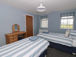 two beds in a room with blue walls at Rosemary Cottage 2 in Tywyn