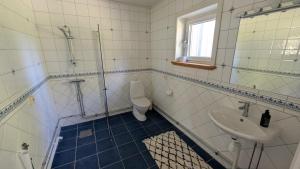a bathroom with a sink and a toilet at Dagöholm Gård in Valla +26 photos