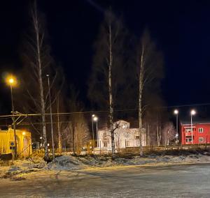 a street at night with trees and street lights at 5ans rum in Skellefteå