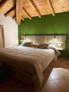 a bedroom with a green wall and a large bed at Il noceto dell'Etna in Giarre +59 photos