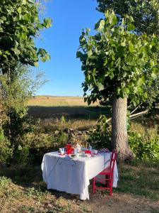 a white table under a tree in a field at Eclipse Experience in Joara