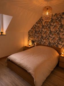 a bedroom with a bed and a chandelier at Gîte Le Riviéra in Almenêches