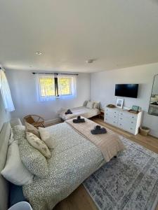 a bedroom with a large bed and a couch at Pourquoi Pas B&B in Sark