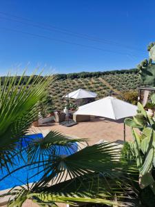 a patio with umbrellas and a view of a hill at Casa Araflo in Cortijada Los Chorreros