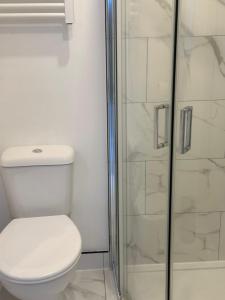 a bathroom with a toilet and a shower at Brigstock 9 in Thornton Heath +6 photos