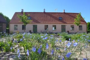 a house with blue flowers in front of it at Stylish Swedish farmhouse in Borrby