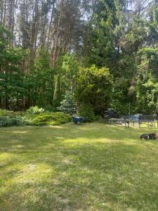 a park with a bench in the grass at Park Poleski - Sosnowe Zacisze in Grabniak