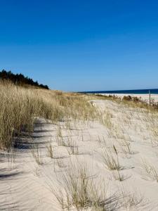 a sandy beach with tall grass and the ocean at Apartamenty Maritimo in Kołobrzeg