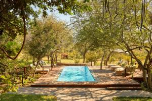a swimming pool in a garden with trees and an elephant in the background at Taj Bush Lodge in Hoedspruit