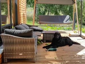 a black dog laying on the floor in a patio at Gemütliches Tiny House zwischen zwei Naturteichen - Kamin, Terrasse & Natur pur in Lauterbach