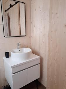 a bathroom with a white sink and a mirror at écolodge Aubépine in Leimbach