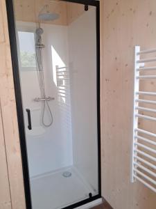 a glass shower door in a bathroom with a window at écolodge Aubépine in Leimbach