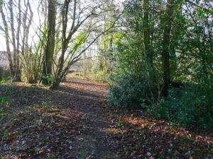 a dirt road through a forest with trees at Wattles-E4527 in Uplowman +9 photos