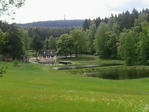 a green field with a house and a pond at Ferienwohnung Meyer in Schönwald