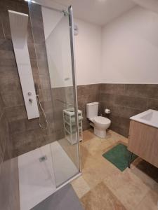 a bathroom with a shower and a toilet at Les Jardins du Bateau in Vals-les-Bains +7 photos