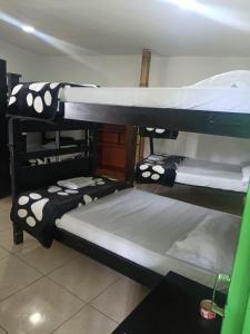 a group of bunk beds in a room at Hostal y Camping Los Girasoles in Salento