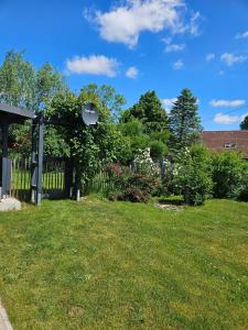 a yard with a fence and green grass at Ferienwohnung - Wolkow in Wolkow