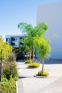 a row of palm trees in front of a building at The Captains Suite in Gaborone