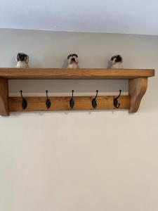 a wooden shelf with nine glasses on it at Ambermay House in Armagh