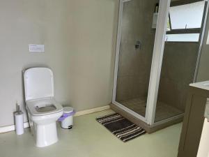 a bathroom with a shower and a toilet in it at Fever Tree B&B in Gonubie Manor +15 photos