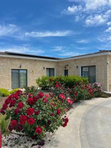 a building with red flowers in front of it at Villa Terra Rosa in Kritou Terra