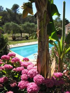 a bunch of flowers next to a swimming pool at Casa Rurale Lou Pichoun Nis in Belcodène