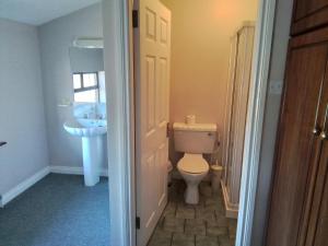 a bathroom with a toilet and a sink at Riverview House in Athlone +27 photos