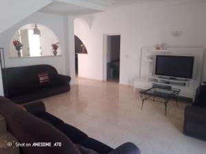 a living room with a couch and a television at villa Flori Midoun in Djerba