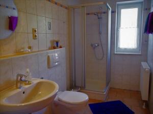 a bathroom with a sink and a shower and a toilet at Ferienwohnung Meyer in Schönwald
