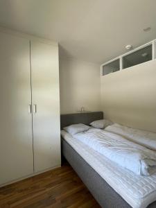 a bedroom with a large bed and a closet at Actif 305 Apartment by Ål Ski Center in Al +12 photos