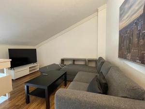 a living room with a couch and a tv at Actif 305 Apartment by Ål Ski Center in Al