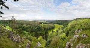 a view of a valley with trees and a river at La Vigne - Han-sur-Lesse in Han-sur-Lesse
