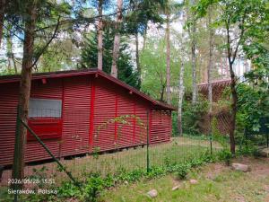 a red cabin in the middle of a forest at Słowicza Chatka in Sieraków