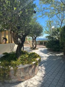 two trees in a stone planter on a sidewalk at Colledisisto Guest House & Restaurant in Pomarico