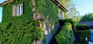 a building covered in green ivy next to a house at Maison La Voyageuse in Gorses