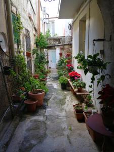 an alley with potted plants on the side of a building at A Casa di Sonia in Syracuse