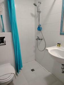 a bathroom with a shower and a toilet and a sink at RILA 6ATO Hotel & Restaurant in Panichishte +22 photos