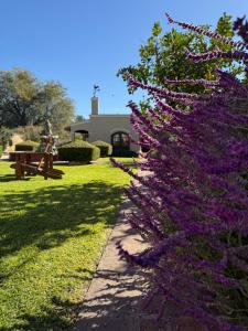 a bush filled with purple flowers next to a building at Hotel Draghi in San Antonio de Areco