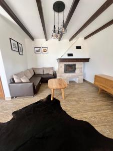 a living room with a couch and a fireplace at Villa Maslina in Novalja