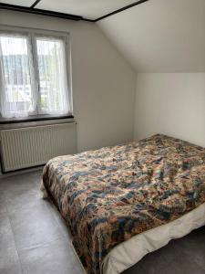 a bedroom with a bed in a room with two windows at Dachstudio in Kaiseraugst
