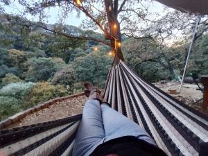 a person laying in a hammock looking at the trees at Glamping sin salir de la CDMX in Mexico City