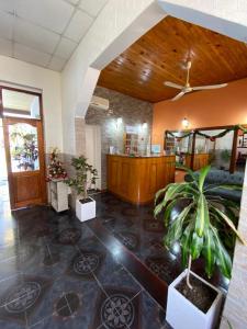 eine Lobby mit einer Couch und Topfpflanzen darin in der Unterkunft Dennisse Hotel in Victoria