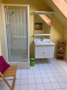 a bathroom with a shower and a sink at Studio à la Ferme in Limpiville
