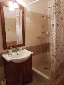 un baño con lavabo y ducha en Central Square Studios, en Sibiu