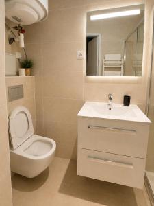a bathroom with a toilet and a sink and a mirror at Centre ville - Houilles A1 in Houilles