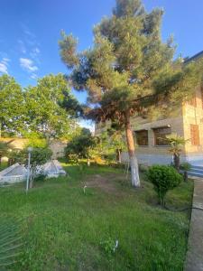 a tree in a yard next to a building at Heritage Garden Villa by Eldar in Ganja