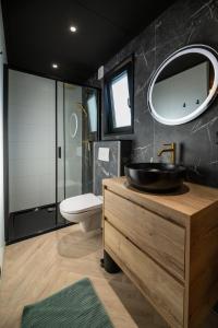 a bathroom with a sink and a toilet and a mirror at Wellnesslodge Specht jacuzzi and sauna and privacy in Dalerveen +25 photos