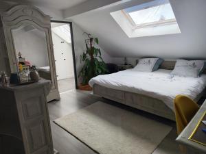 a bedroom with a bed and a large mirror at Au Ch'ti Suisse in Autechaux